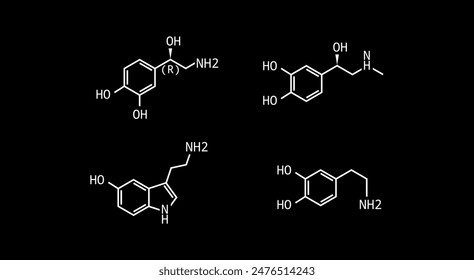 Catecholamines vector formula illustration isolated