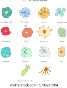 5,961 Neutrophil Images, Stock Photos & Vectors | Shutterstock