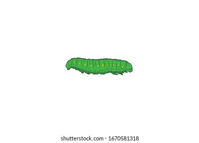 Caterpillar Animal Cartoon Vector Illustration