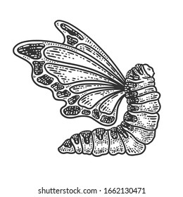 Caterpillar with butterfly wings sketch engraving vector illustration. T-shirt apparel print design. Scratch board imitation. Black and white hand drawn image.