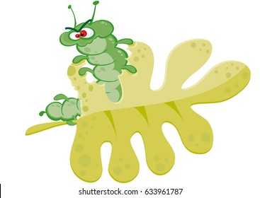 caterpillar eating leaf