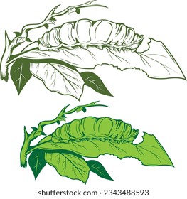 die Raupe frisst Blatt, Einzelbild, Design für T-Shirt