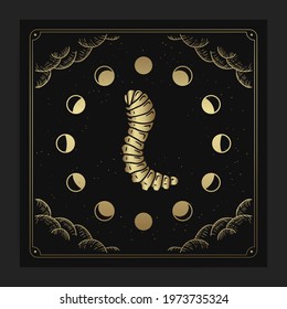 Caterpillar with engraving, hand drawn, luxury, celestial, esoteric, boho style, fit for spiritualist, religious, paranormal, tarot reader, astrologer or tattoo vector