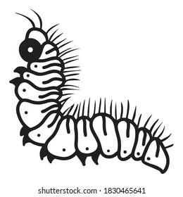 Caterpillar Graphic Design Vector Illustration, Icon, Art Tattoo Sketch, Logo, Hand Draw, Use In Print