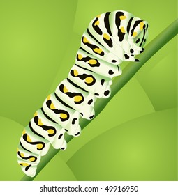 caterpillar in green