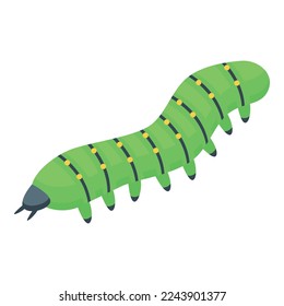 Caterpillar icon isometric vector. Worm larva. Cute insect