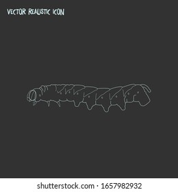 Caterpillar icon line element. Vector illustration of caterpillar icon line isolated on clean background for your web mobile app logo design.