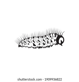 caterpillar icon vector illustration with black and white colors.