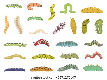 Caterpillar icons set cartoon vector. Nature insect. Larva summer