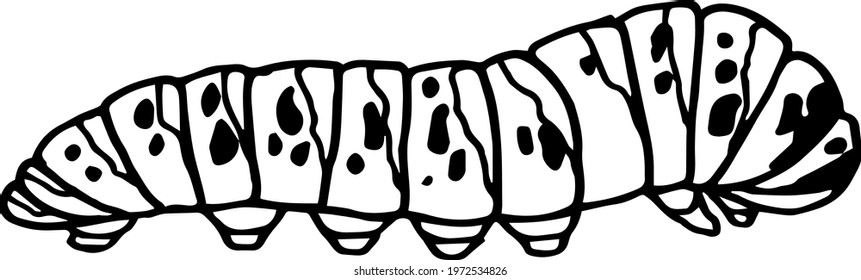 caterpillar. Insect collection isolated on white. Vector illustration. set of illustrations. pests, beetles, insects, animals. black and white image