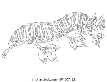 Caterpillar insect graphic vector illustration