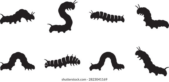 Caterpillar insect set crawling walking and looping on garden leaves