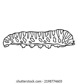 Ilustración vectorial de la línea de oruga,
aislado en fondo blanco.vista superior