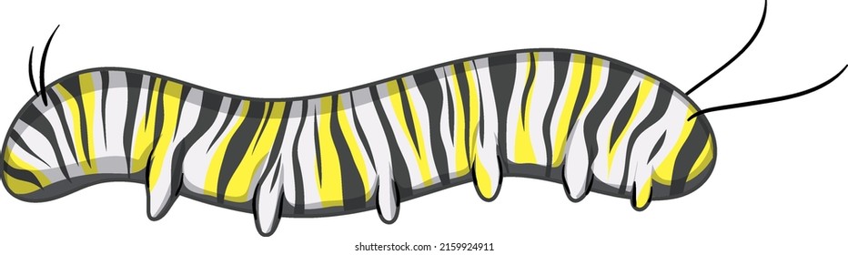 Caterpillar of monarch butterfly illustration