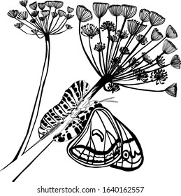 Caterpillar and moth sitting on a spring blooming flower black on white transparent background vector drawing