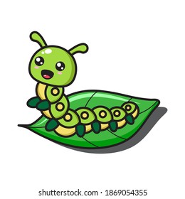 caterpillar on the green leaf