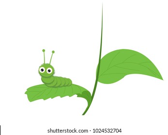 Caterpillar on leaf Vector image