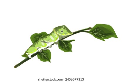 a caterpillar on a tree branch with no background