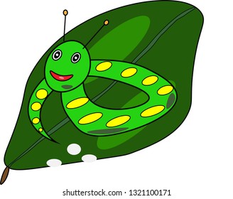 caterpillar on a tree leaf