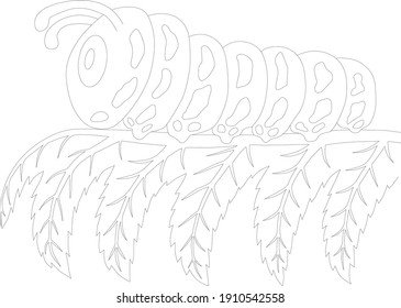 Caterpillar Sitting on a Leaf coloring page