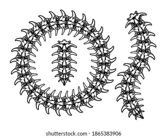 Caterpillar skeleton pattern brush in vintage monochrome style isolated vector illustration