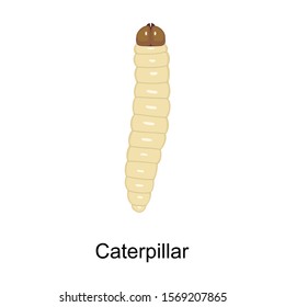 Caterpillar vector icon.Cartoon vector icon isolated on white background caterpillar.