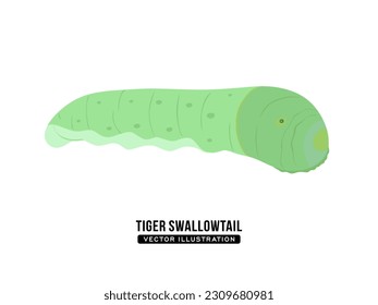 Caterpillar vector illustration. Tiger swallowtail Caterpillar isolated on white background. Flat vector illustration
