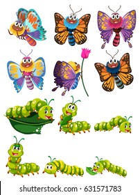 Caterpillars and butterflies with colorful wings illustration