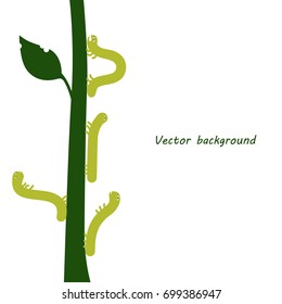 Caterpillars creep up. Funny caterpillars on a branch, vector illustration