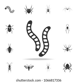 caterpillars. Detailed set of insects items icons. Premium quality graphic design. One of the collection icons for websites, web design, mobile app on white background