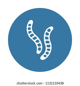 caterpillars icon. Element of insect icons for mobile concept and web apps. Badge style caterpillars icon can be used for web and mobile apps