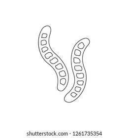 caterpillars icon. Element of insect for mobile concept and web apps icon. Thin line icon for website design and development, app development