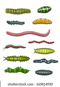 Caterpillars and worms set isolated on white background