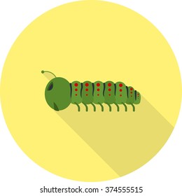 Caterpiller