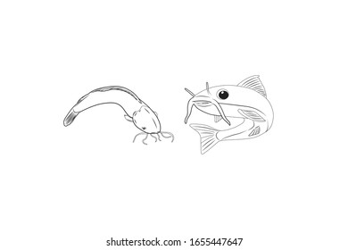 Catfish Animal Cartoon Vektorillustration Outline Illustration 