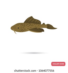 Catfish aquarium fish color flat icon