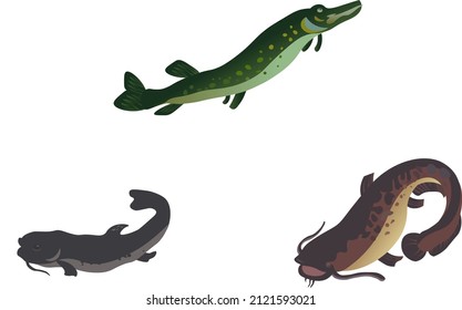 catfish burbot and pike river fish lakes reservoirs fishing