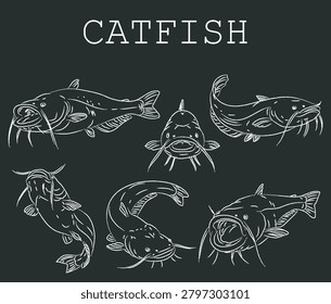 Catfish collection in coal sketch style, National fishing, Sport fishing, Doodle illustration