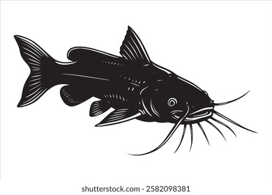 Catfish Detailed Silhouette Isolated on White Background.