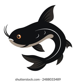  catfish fish on white background