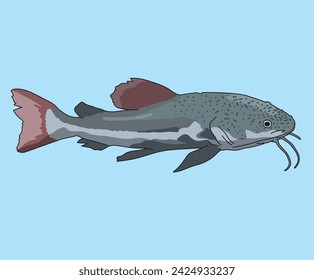 Catfish Fishes Fishing Catfishes Fishes
