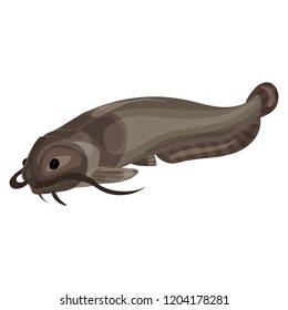 Catfish icon. Cartoon of catfish vector icon for web design isolated on white background