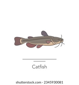 Catfish icon. Outline colorful icon of catfish fish on white. Vector illustration