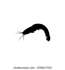 catfish illustration in black and white