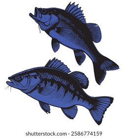 Catfish Illustration, Striking Blue Fish Artwork, caffish vector. " this image is ai generated "