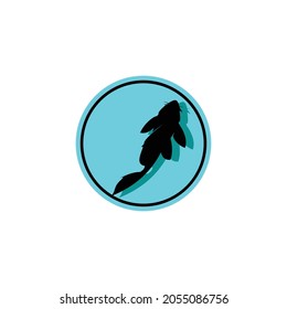 Catfish logo. Catfish seen from above. blue background with fish shadow