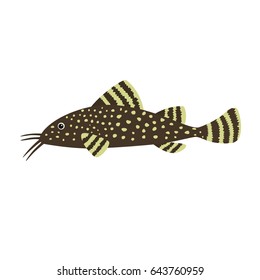 Catfish on white background