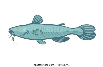 catfish on a white background, Vector illustrations