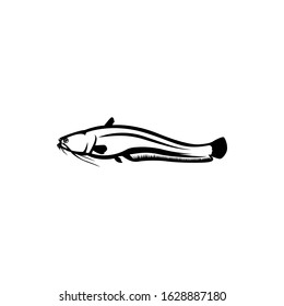 catfish silhouette. vector illustration of catfish