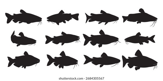 Vector de fondo blanco de la silueta del bagre